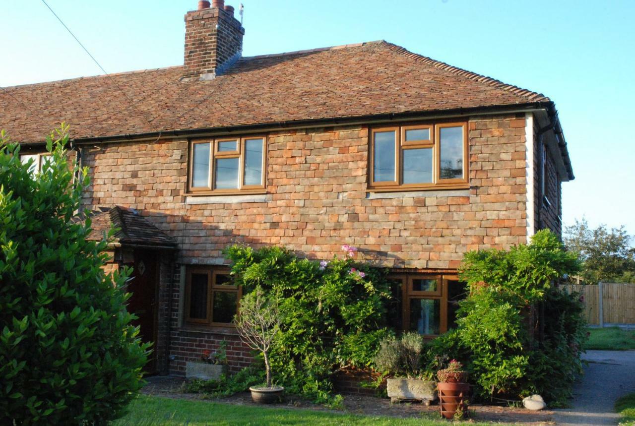 Hollyhock Cottage Ashford  Eksteriør billede